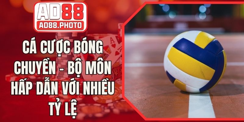 Cá Cược Bóng Chuyền - Bộ Môn Hấp Dẫn Với Nhiều Tỷ Lệ