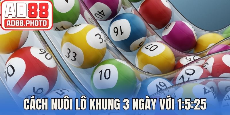 Cách nuôi lô khung 3 ngày với 1:5:25
