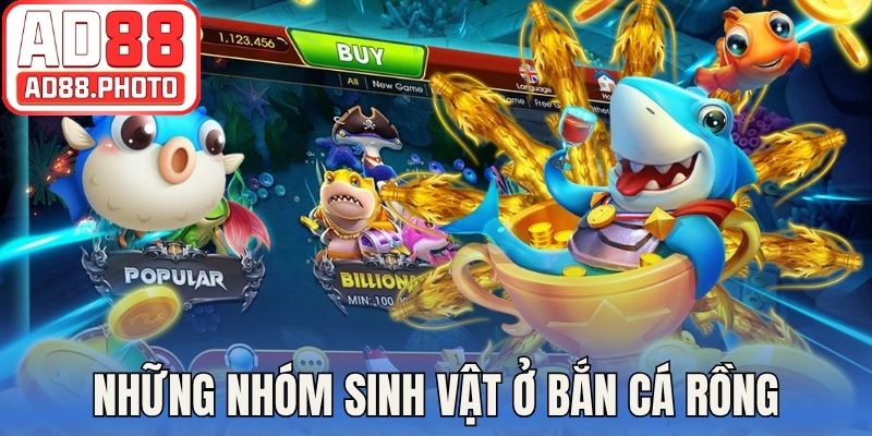 Những nhóm sinh vật thường ở bắn cá rồng
